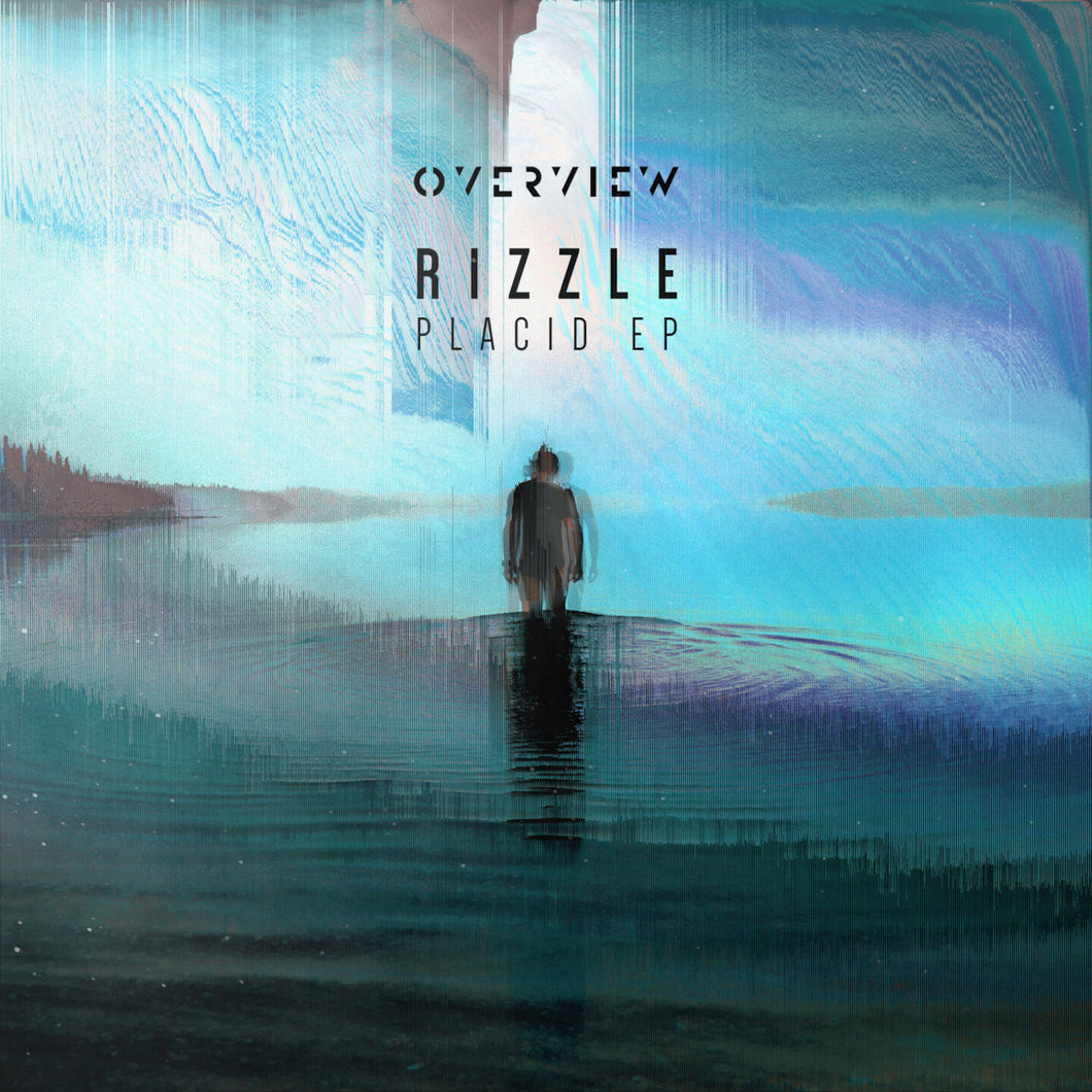 Rizzle - Let You Go